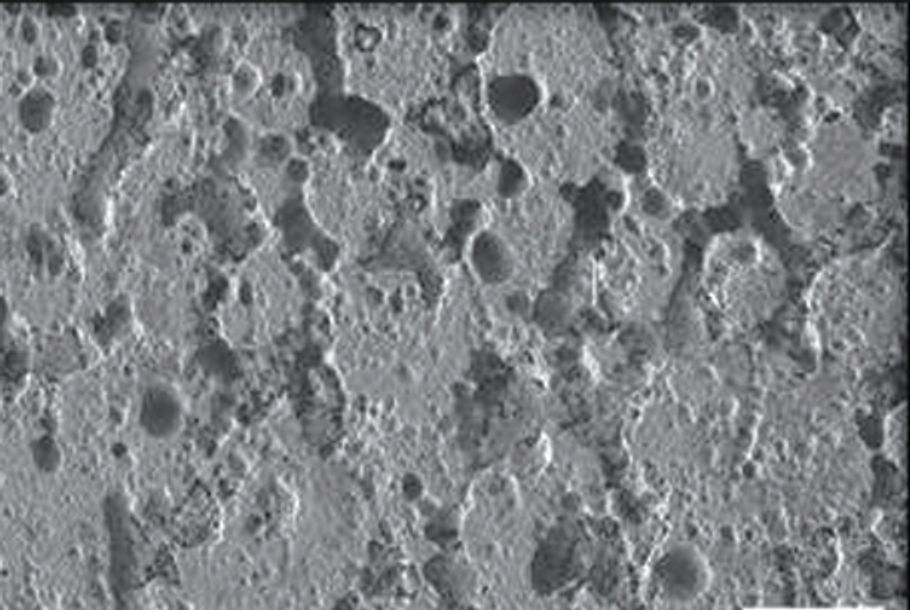 Zircos-E micrograph